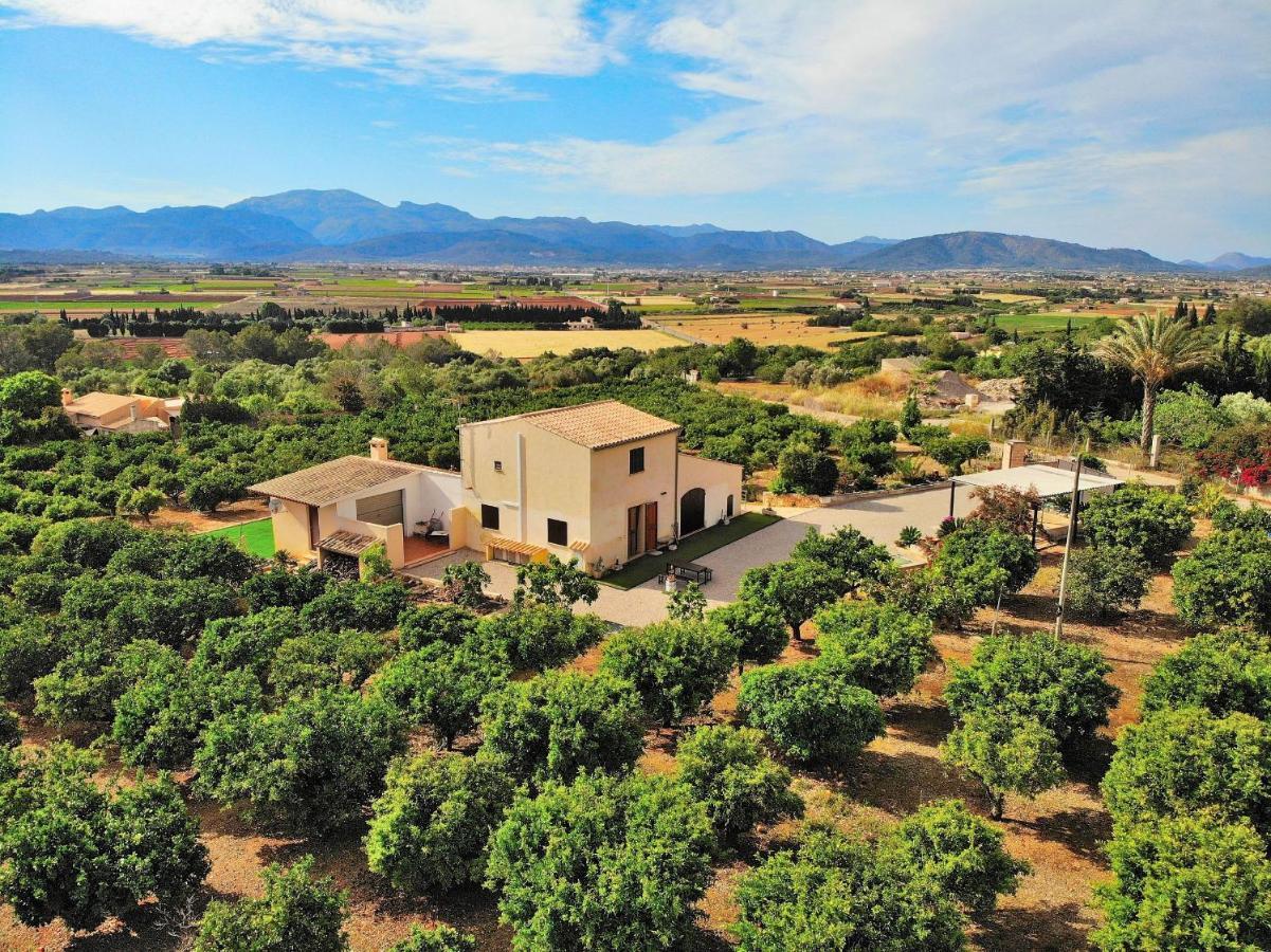 081 Finca Els Tarongers Etv5766 By Mallorca Charme Muro Eksteriør bilde